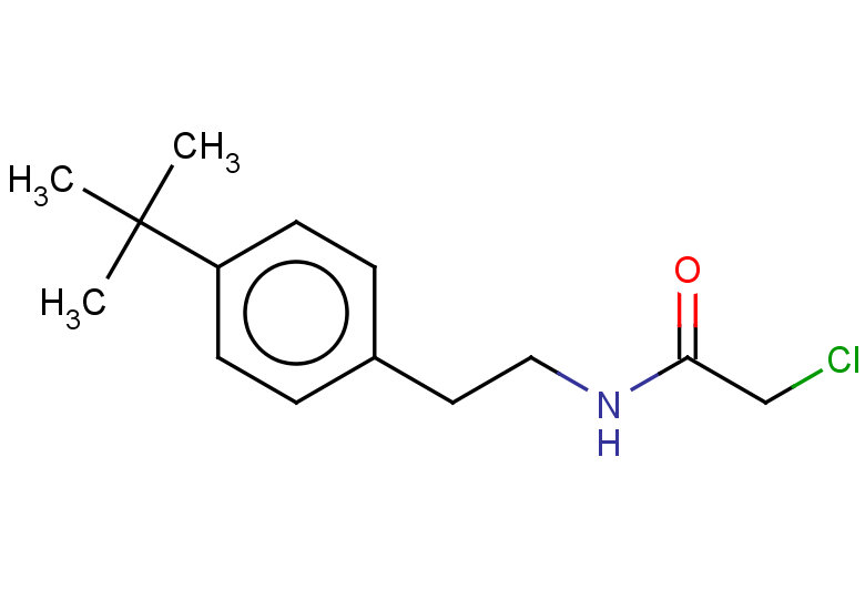 N-[2-(4-tert-butylphenyl)ethyl]-2-chloroacetamide
