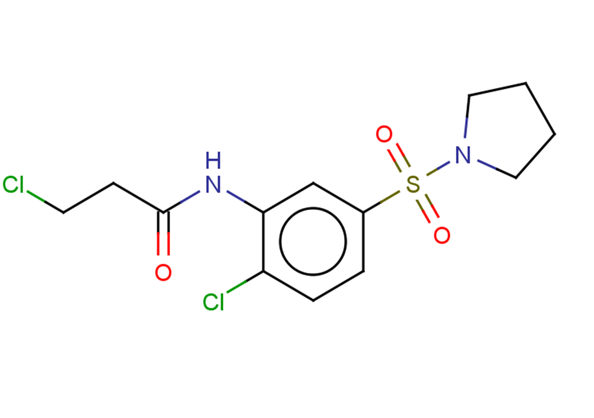 3-chloro-N-[2-chloro-5-(pyrrolidine-1-sulfonyl)phenyl]propanamide