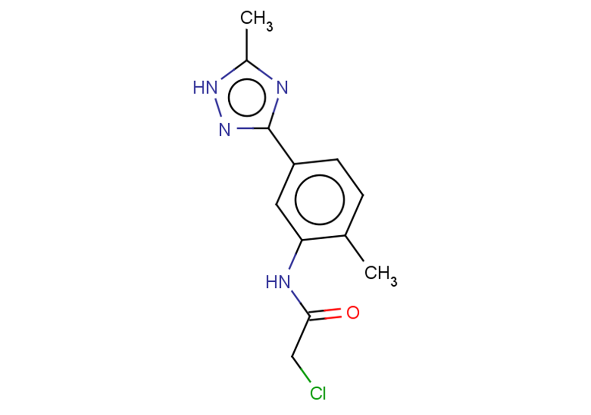 2-chloro-N-[2-methyl-5-(5-methyl-1H-1,2,4-triazol-3-yl)phenyl]acetamide