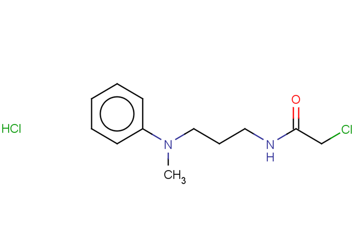 2-chloro-N-{3-[methyl(phenyl)amino]propyl}acetamide hydrochloride