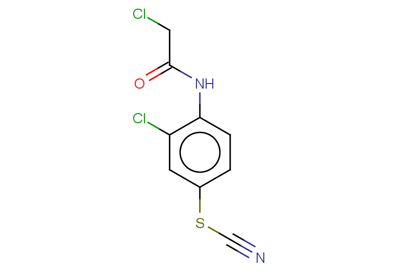 2-chloro-N-[2-chloro-4-(cyanosulfanyl)phenyl]acetamide