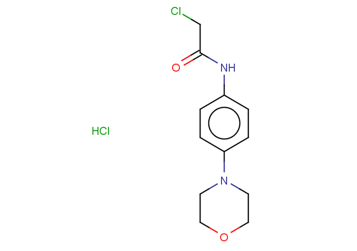 2-chloro-N-[4-(morpholin-4-yl)phenyl]acetamide hydrochloride