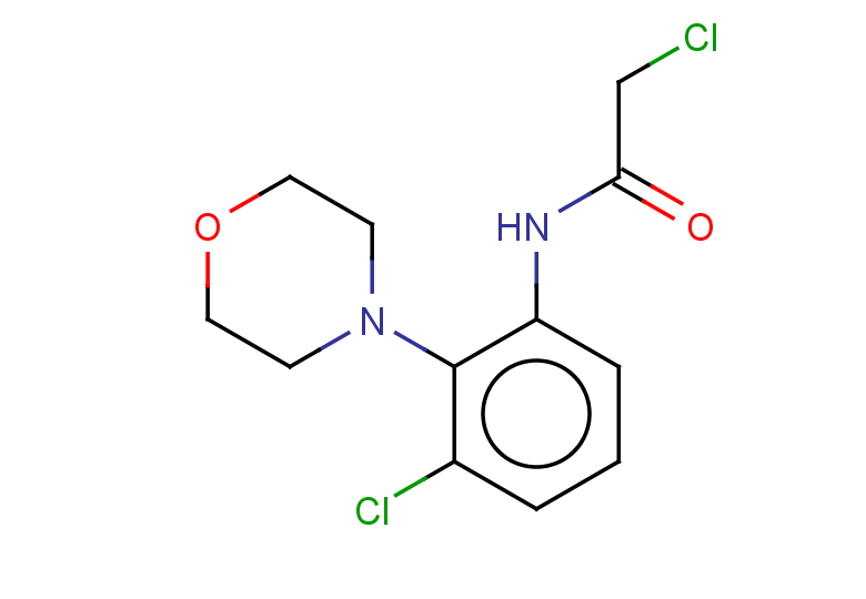 2-chloro-N-[3-chloro-2-(morpholin-4-yl)phenyl]acetamide