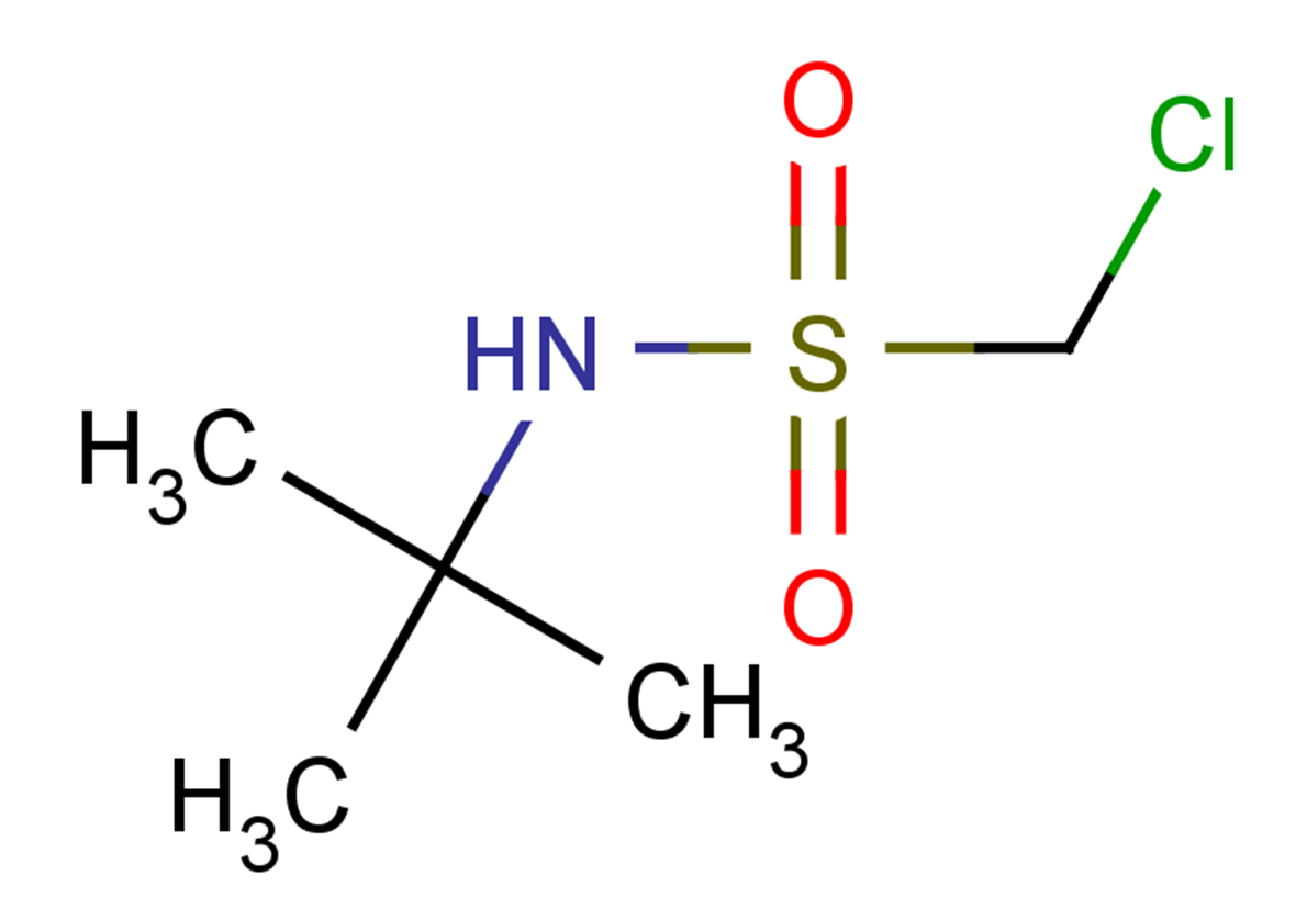 N-tert-butyl-1-chloromethanesulfonamide