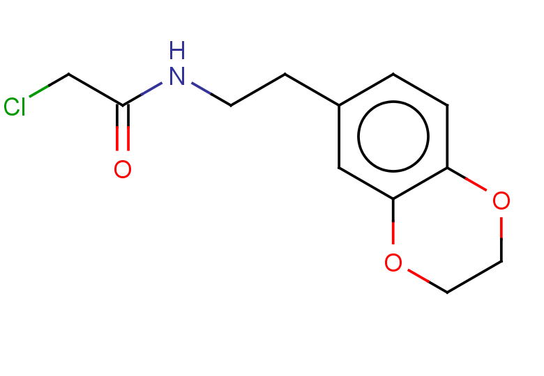 2-chloro-N-[2-(2,3-dihydro-1,4-benzodioxin-6-yl)ethyl]acetamide