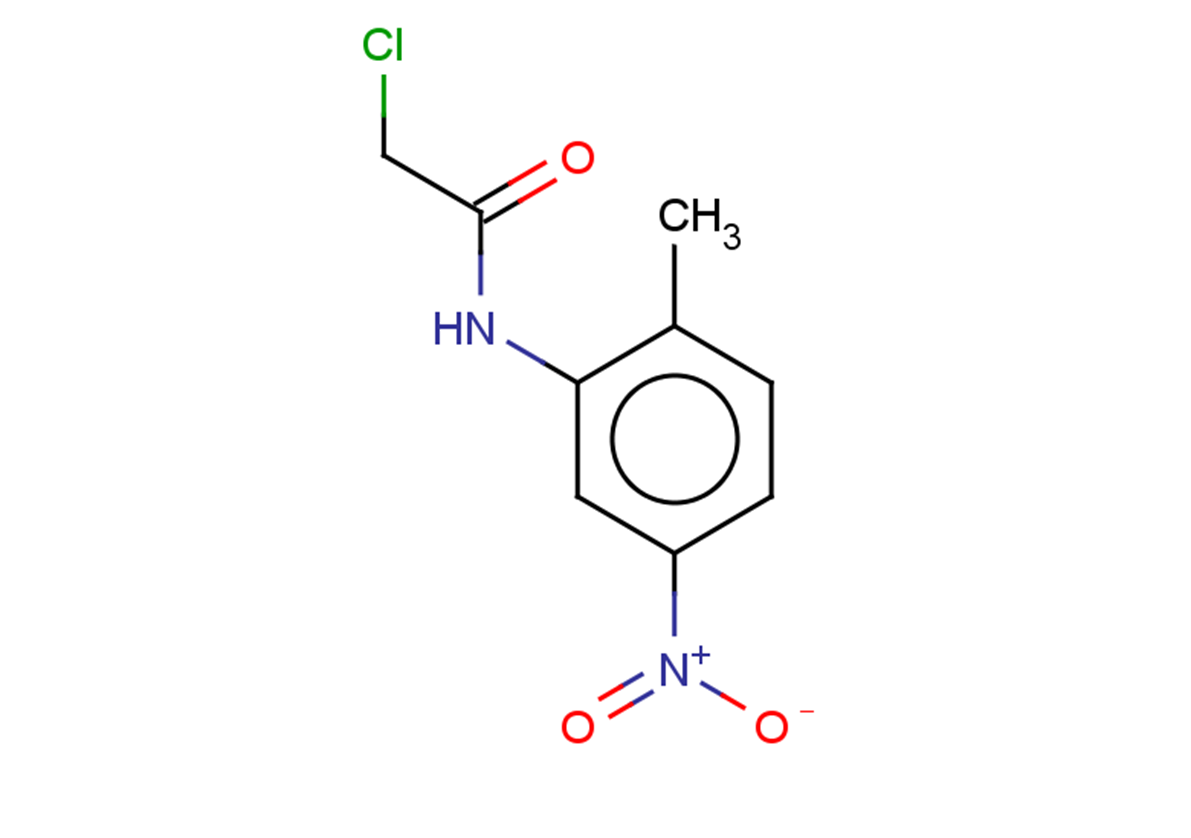 2-chloro-N-(2-methyl-5-nitrophenyl)acetamide