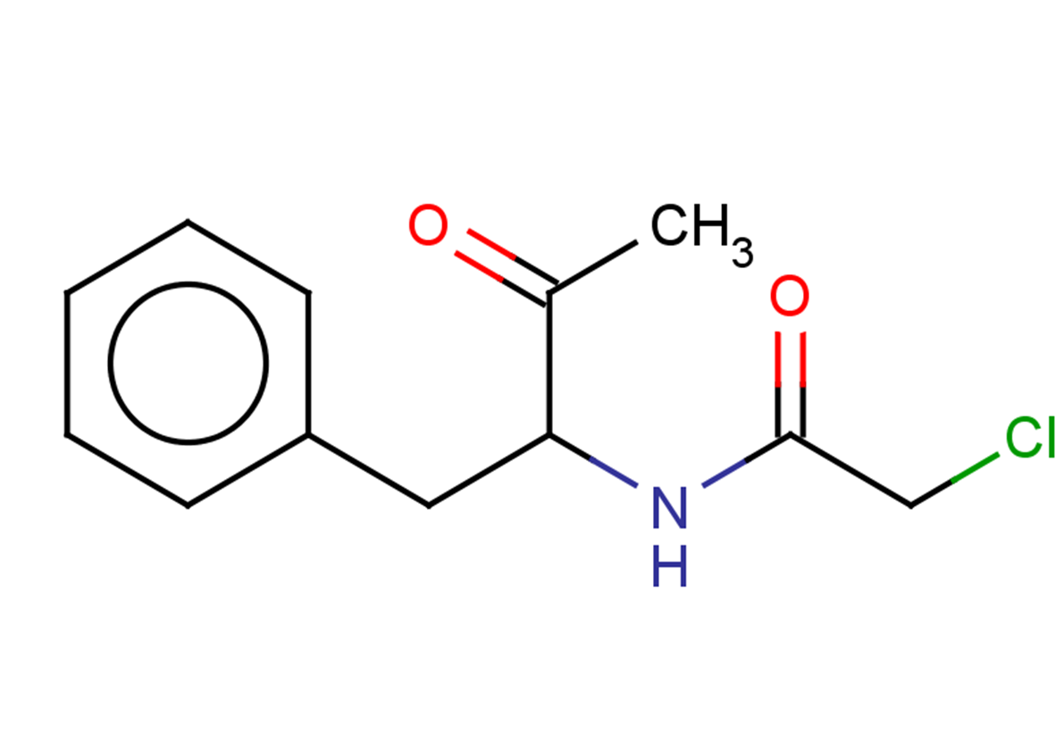 2-chloro-N-(3-oxo-1-phenylbutan-2-yl)acetamide