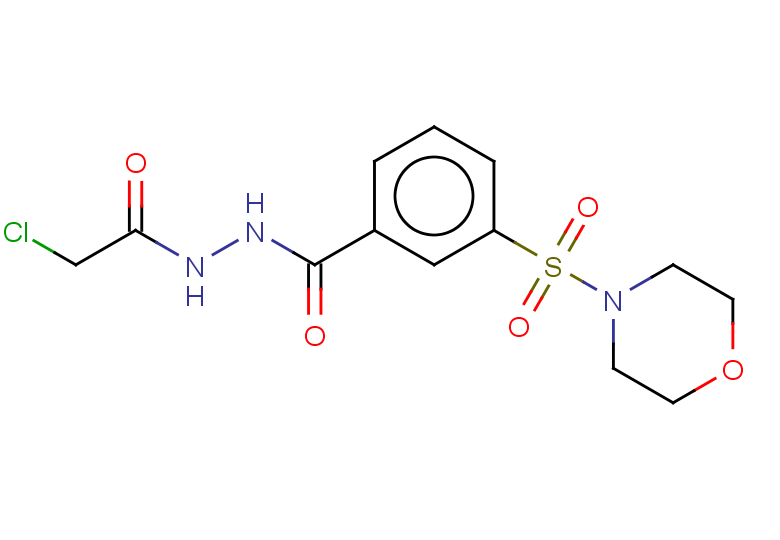 N'-(2-chloroacetyl)-3-(morpholine-4-sulfonyl)benzohydrazide