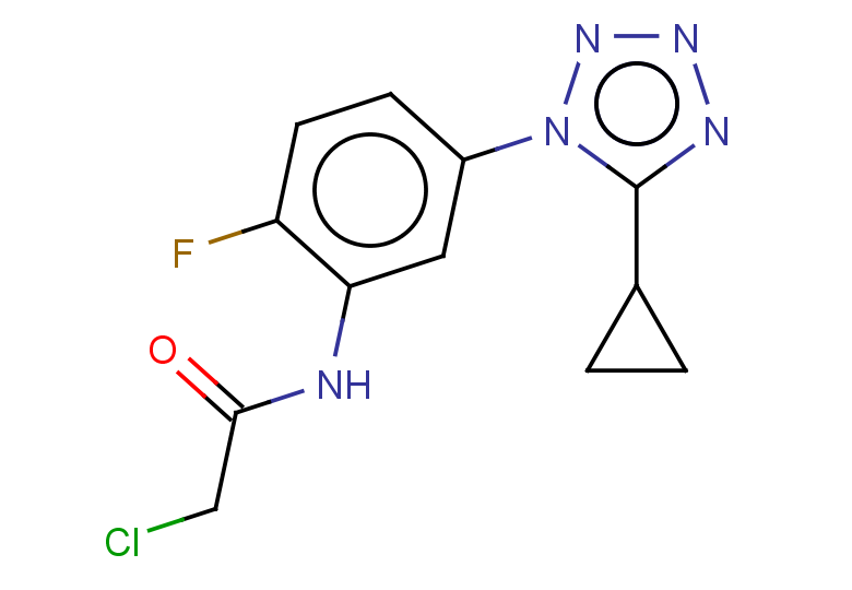 2-chloro-N-[5-(5-cyclopropyl-1H-1,2,3,4-tetrazol-1-yl)-2-fluorophenyl]acetamide