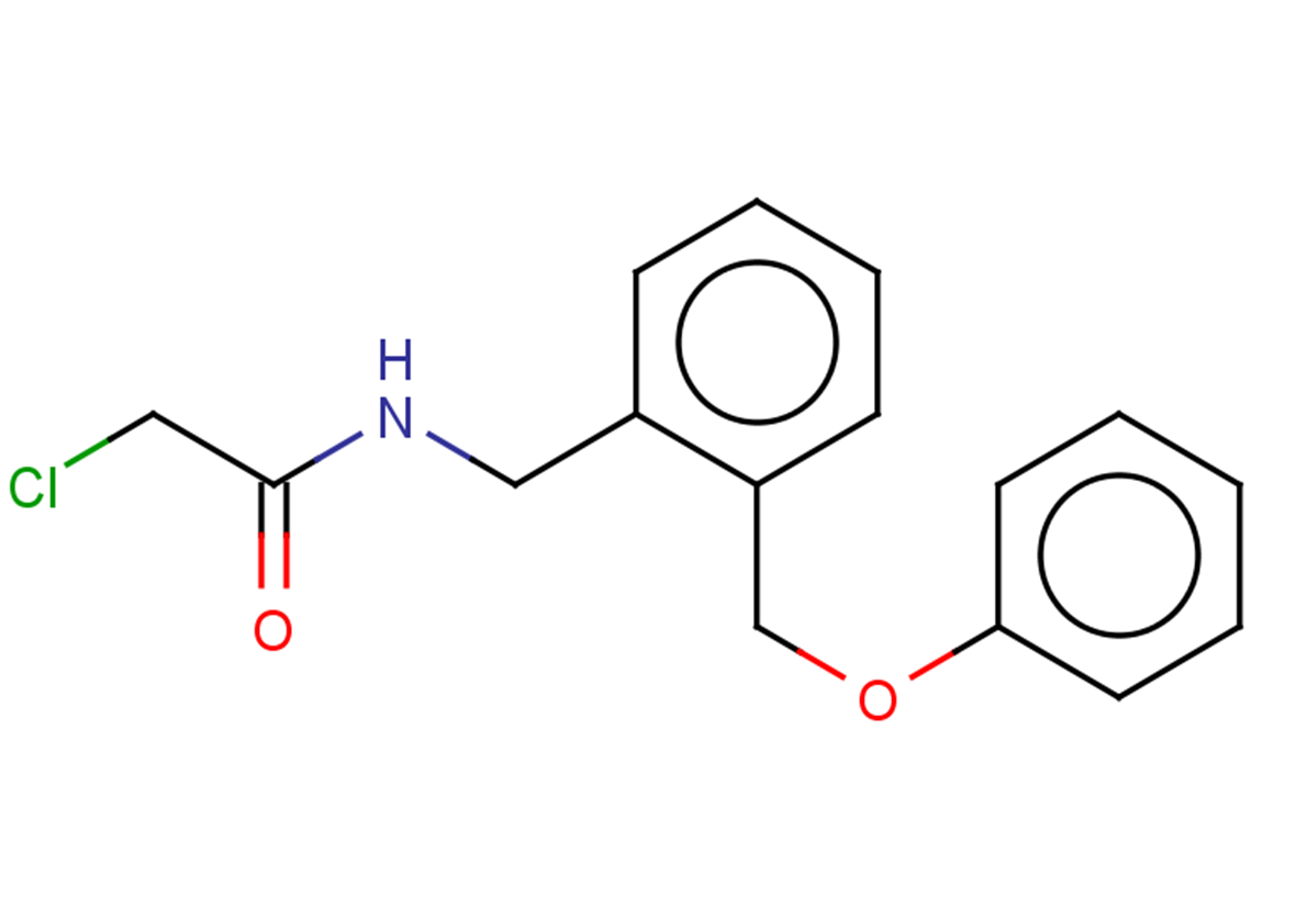 2-chloro-N-{[2-(phenoxymethyl)phenyl]methyl}acetamide