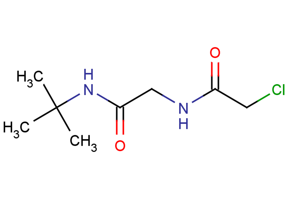 N-tert-butyl-2-(2-chloroacetamido)acetamide
