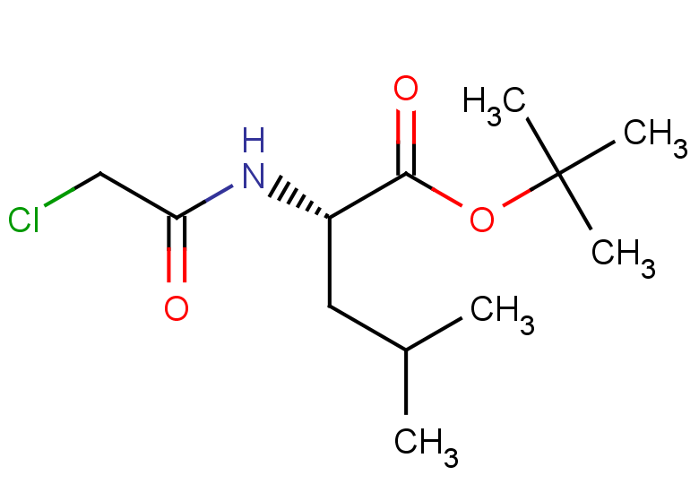 tert-butyl (2S)-2-(2-chloroacetamido)-4-methylpentanoate