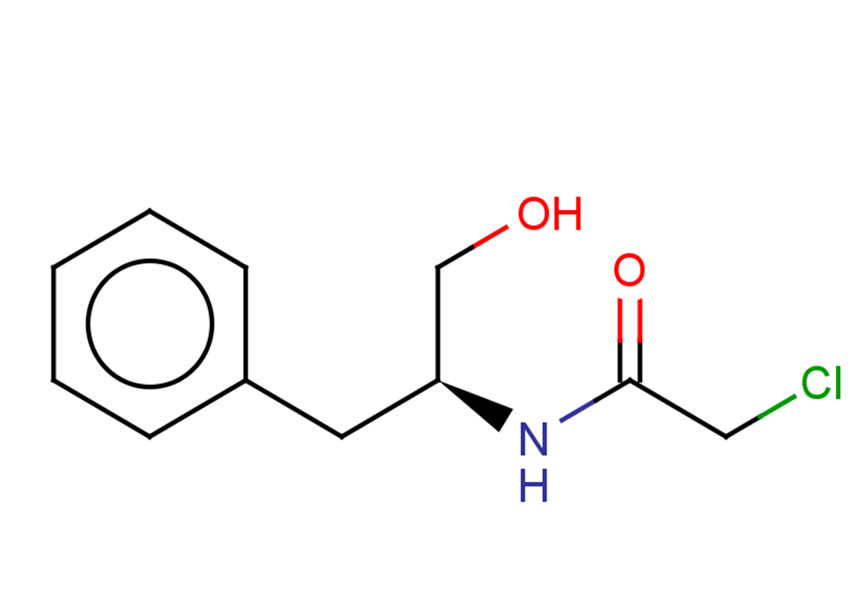 2-chloro-N-[(2S)-1-hydroxy-3-phenylpropan-2-yl]acetamide