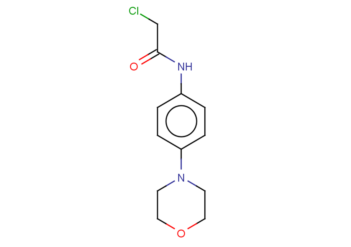 2-chloro-N-[4-(morpholin-4-yl)phenyl]acetamide