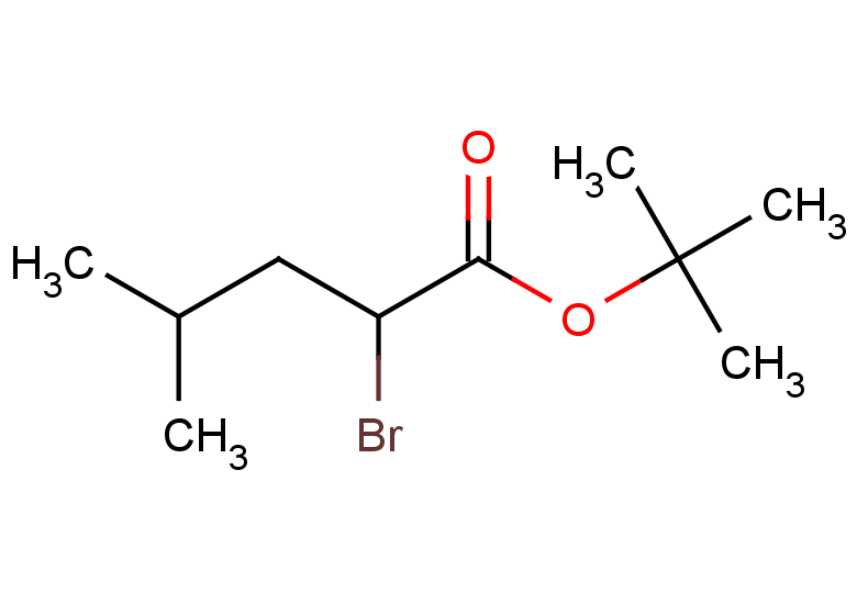 tert-butyl 2-bromo-4-methylpentanoate