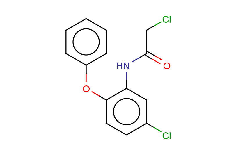 2-chloro-N-(5-chloro-2-phenoxyphenyl)acetamide