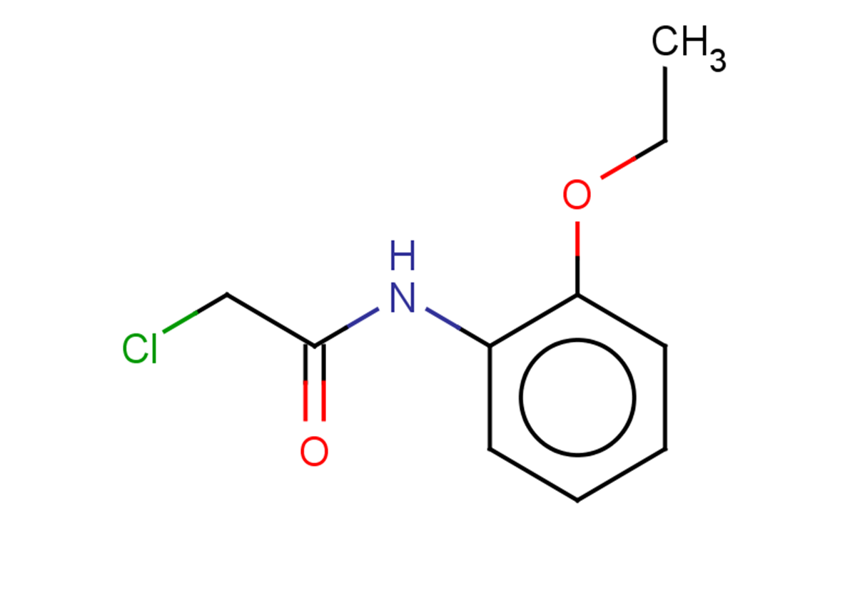 2-chloro-N-(2-ethoxyphenyl)acetamide