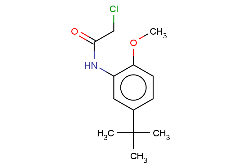 N-(5-tert-butyl-2-methoxyphenyl)-2-chloroacetamide