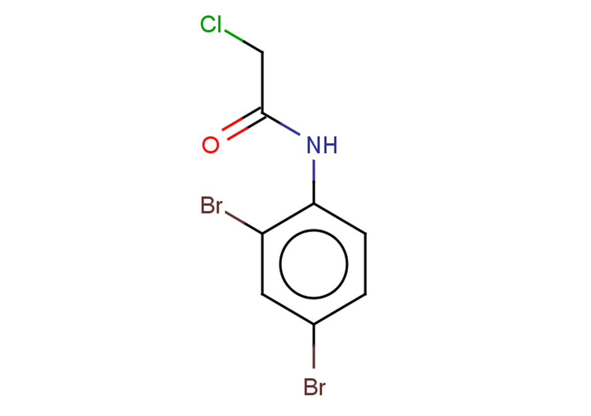 2-chloro-N-(2,4-dibromophenyl)acetamide