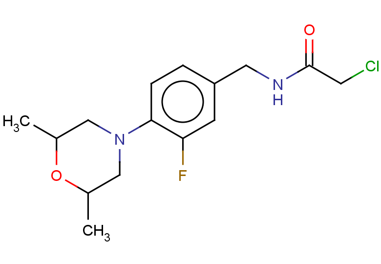 2-chloro-N-{[4-(2,6-dimethylmorpholin-4-yl)-3-fluorophenyl]methyl}acetamide