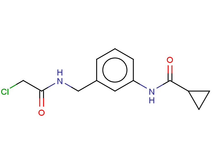 N-{3-[(2-chloroacetamido)methyl]phenyl}cyclopropanecarboxamide