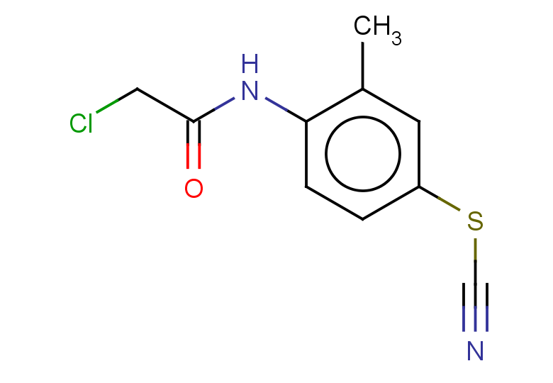 2-chloro-N-[4-(cyanosulfanyl)-2-methylphenyl]acetamide