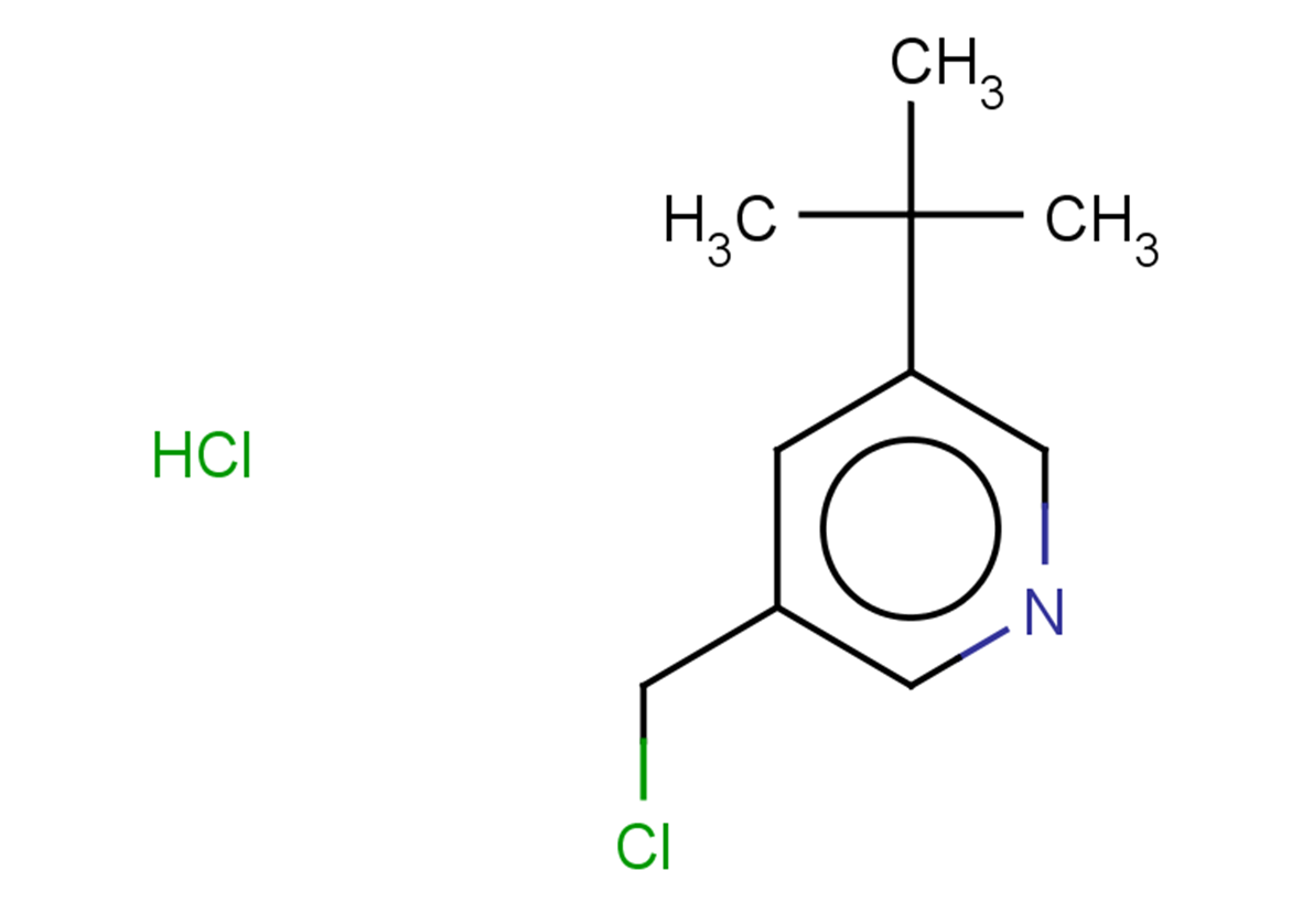 3-tert-butyl-5-(chloromethyl)pyridine hydrochloride