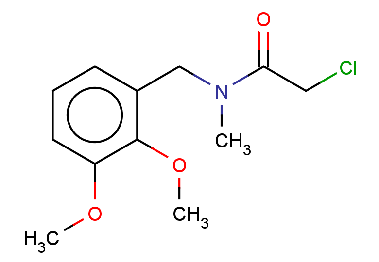 2-chloro-N-[(2,3-dimethoxyphenyl)methyl]-N-methylacetamide