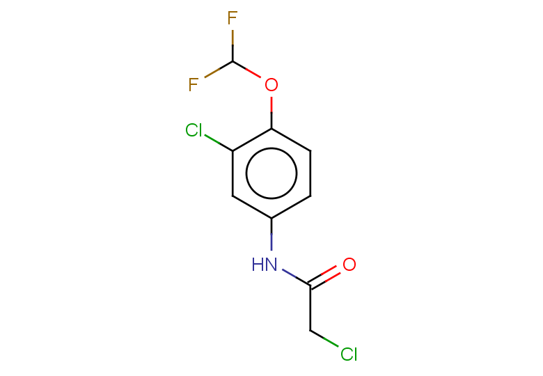 2-chloro-N-[3-chloro-4-(difluoromethoxy)phenyl]acetamide