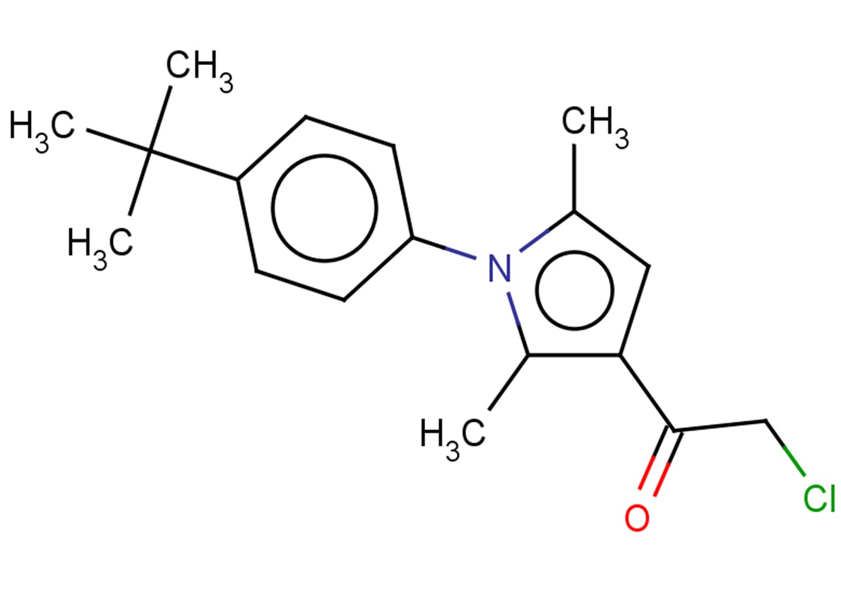 1-[1-(4-tert-butylphenyl)-2,5-dimethyl-1H-pyrrol-3-yl]-2-chloroethan-1-one