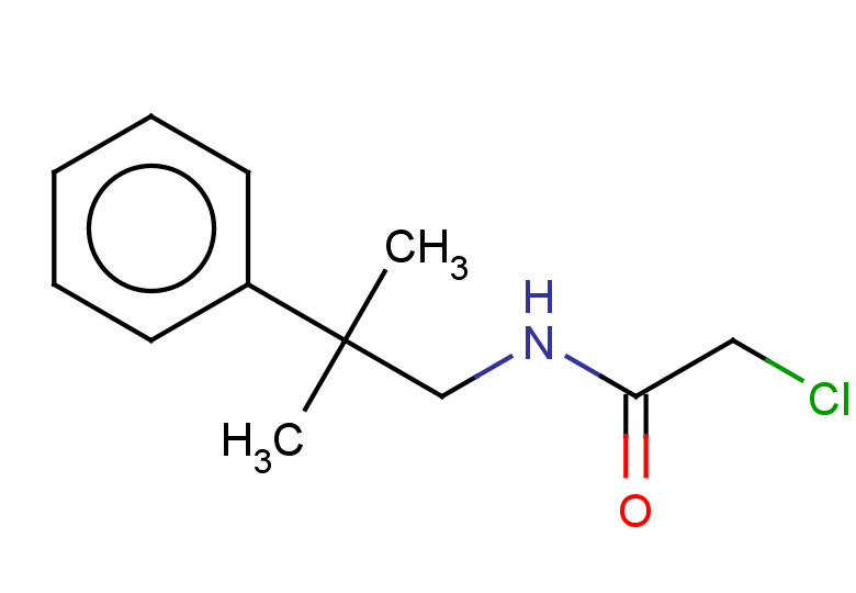 2-chloro-N-(2-methyl-2-phenylpropyl)acetamide