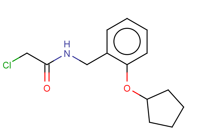 2-chloro-N-{[2-(cyclopentyloxy)phenyl]methyl}acetamide