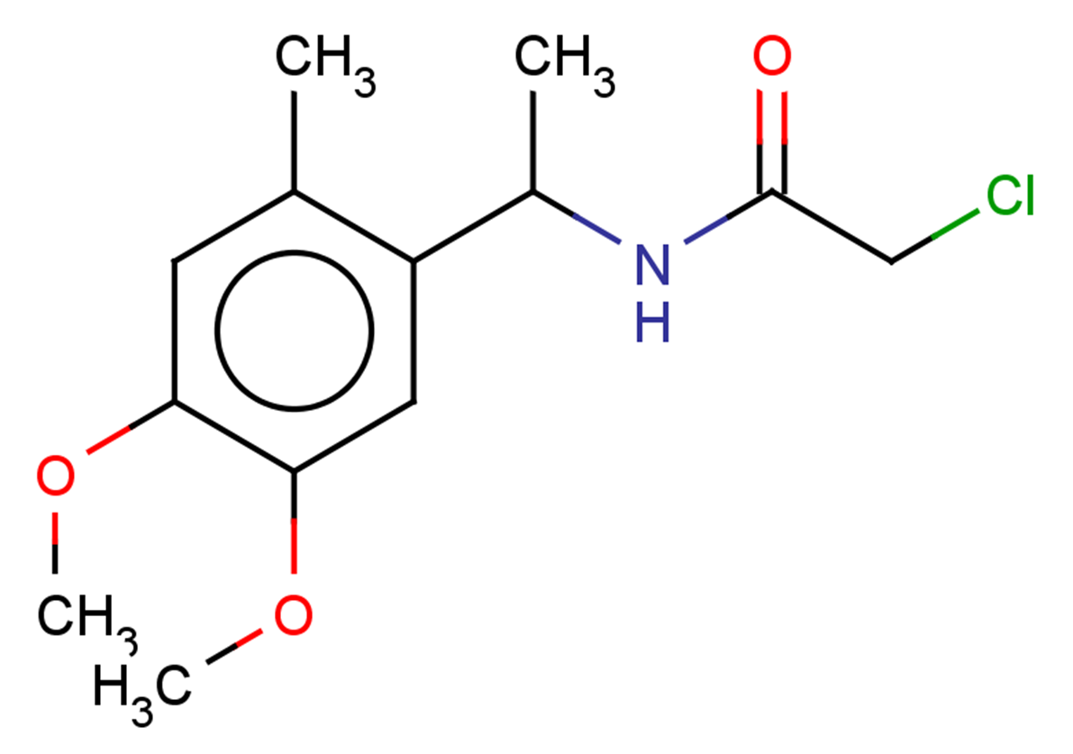 2-chloro-N-[1-(4,5-dimethoxy-2-methylphenyl)ethyl]acetamide