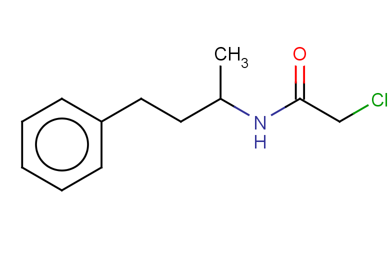 2-chloro-N-(4-phenylbutan-2-yl)acetamide