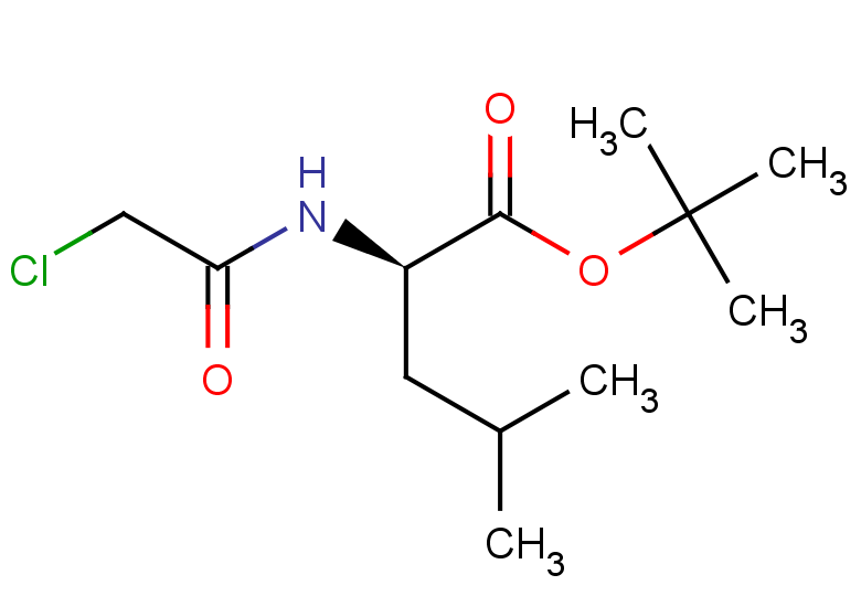tert-butyl (2R)-2-(2-chloroacetamido)-4-methylpentanoate