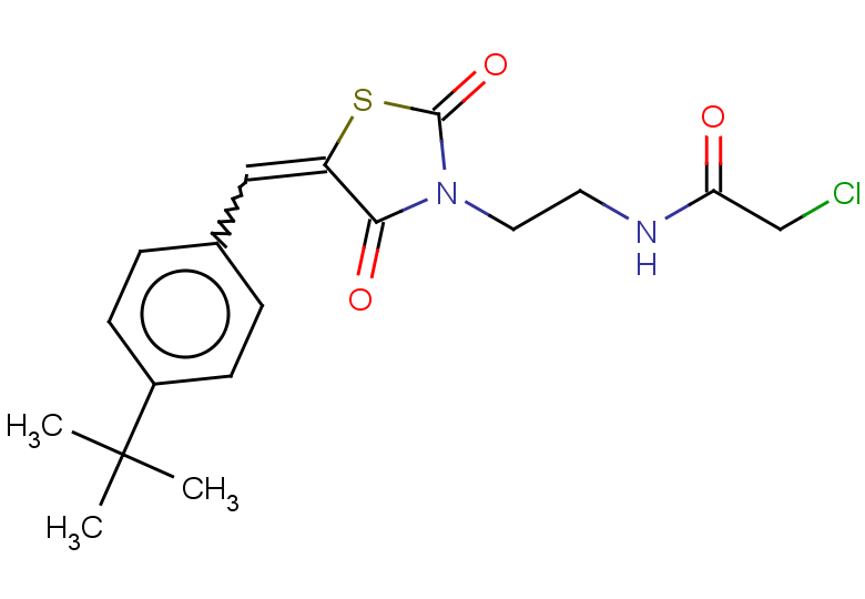 N-(2-{5-[(4-tert-butylphenyl)methylidene]-2,4-dioxo-1,3-thiazolidin-3-yl}ethyl)-2-chloroacetamide