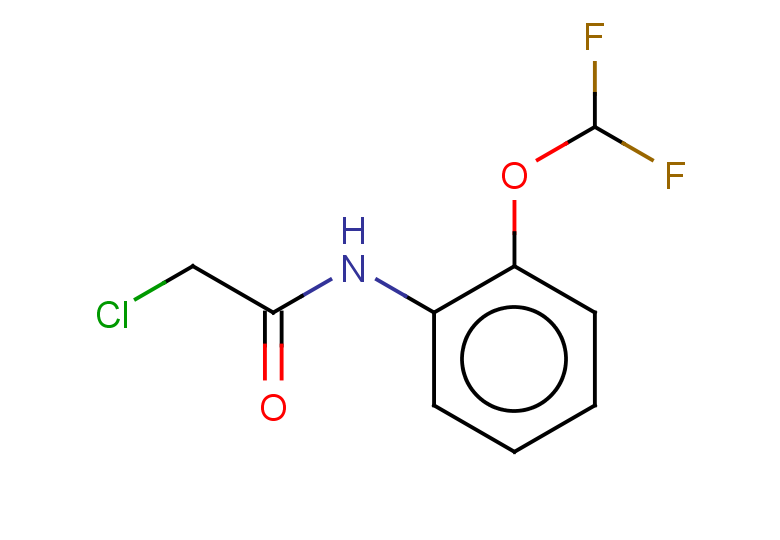 2-chloro-N-[2-(difluoromethoxy)phenyl]acetamide