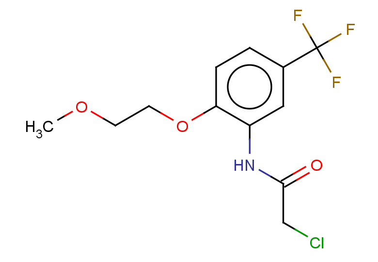 2-chloro-N-[2-(2-methoxyethoxy)-5-(trifluoromethyl)phenyl]acetamide