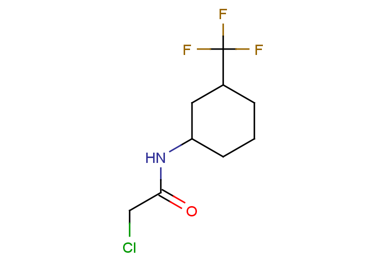 2-chloro-N-[3-(trifluoromethyl)cyclohexyl]acetamide