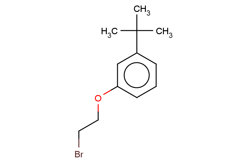 1-(2-bromoethoxy)-3-tert-butylbenzene