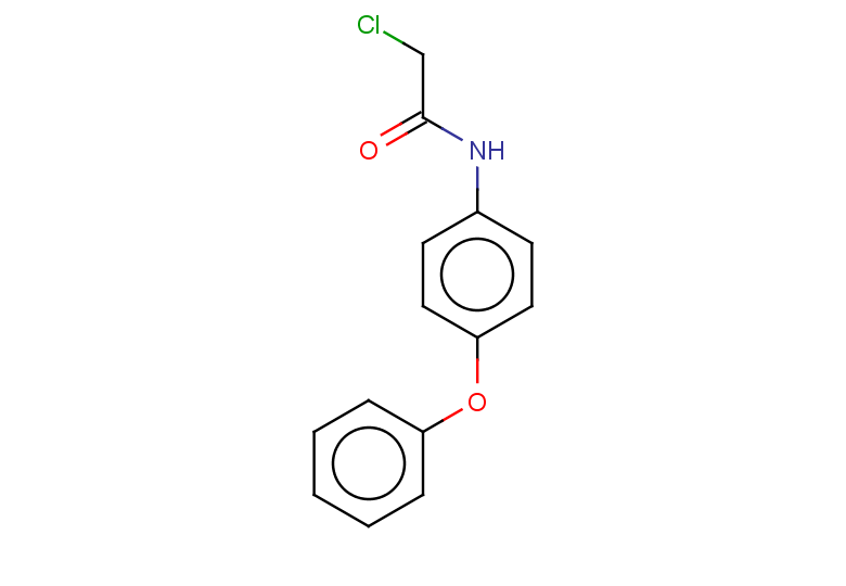 2-chloro-N-(4-phenoxyphenyl)acetamide