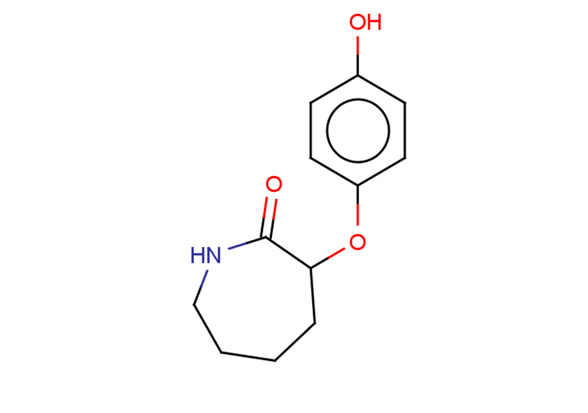 3-(4-hydroxyphenoxy)azepan-2-one