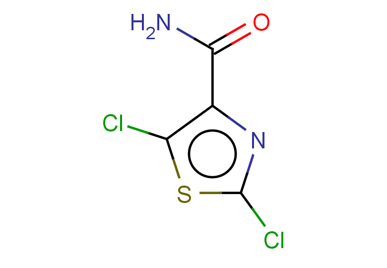 dichloro-1,3-thiazole-4-carboxamide