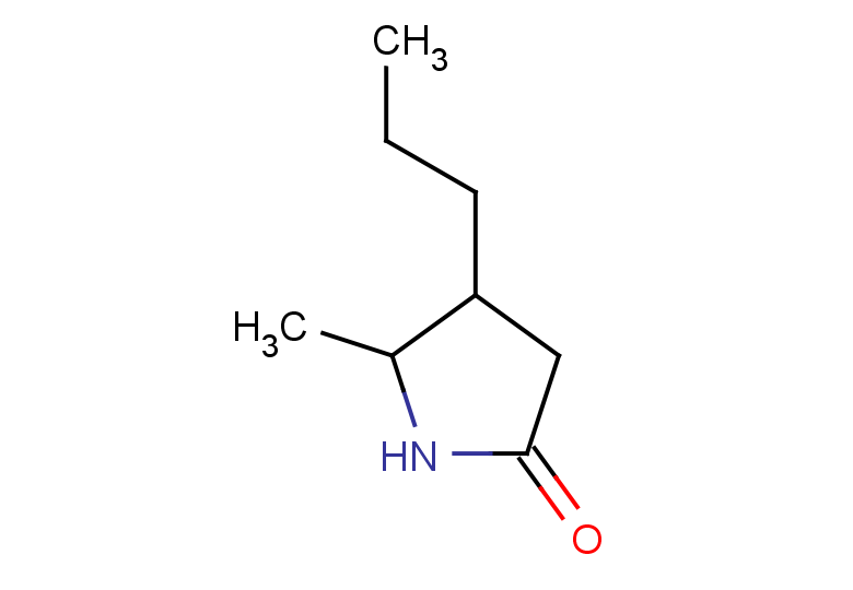 5-methyl-4-propylpyrrolidin-2-one