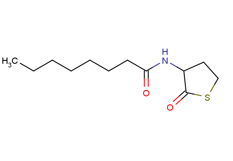 N-(2-oxothiolan-3-yl)octanamide