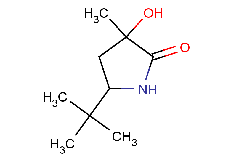 5-tert-butyl-3-hydroxy-3-methylpyrrolidin-2-one
