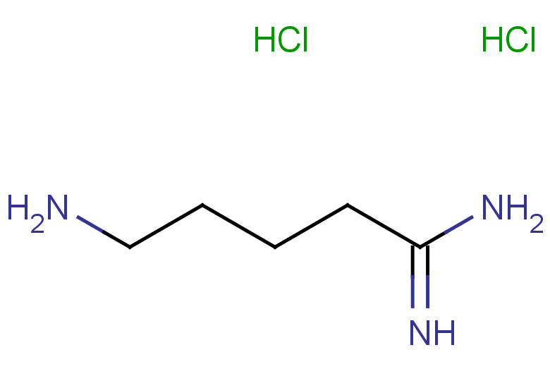 5-aminopentanimidamide dihydrochloride