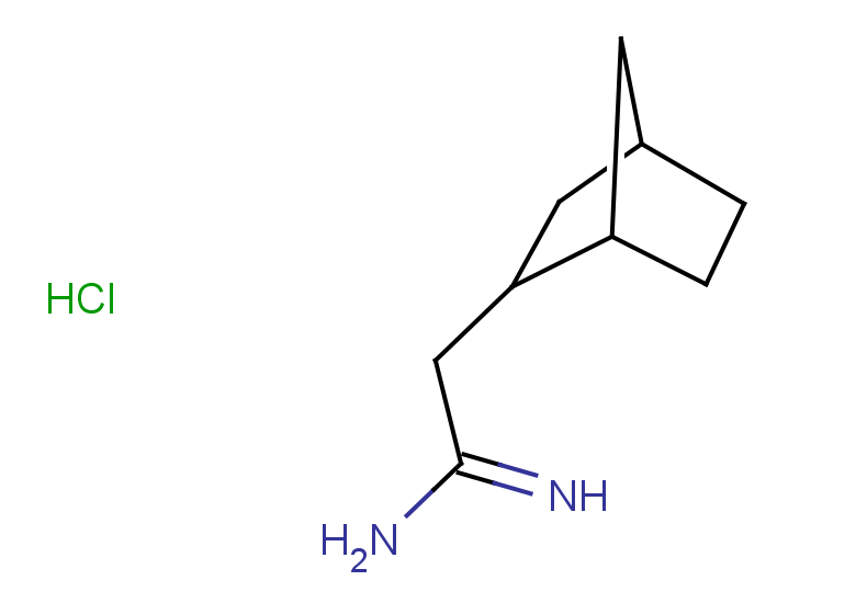 2-{bicyclo[2.2.1]heptan-2-yl}ethanimidamide hydrochloride