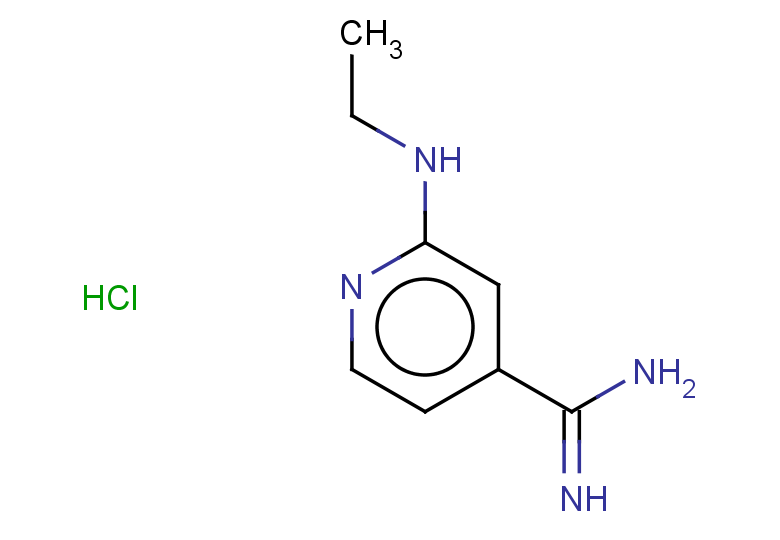 2-(ethylamino)pyridine-4-carboximidamide hydrochloride