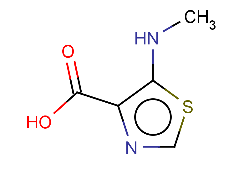 5-(methylamino)-1,3-thiazole-4-carboxylic acid